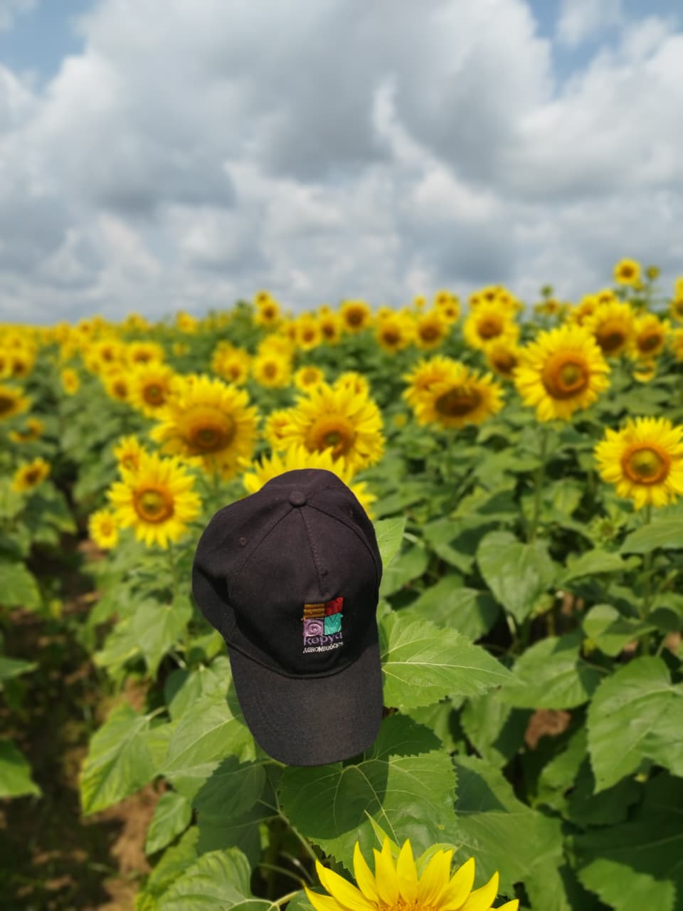Produção agrícola em Angola