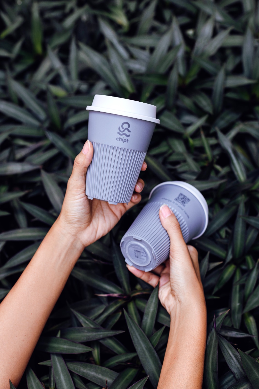 Chipt — Coffee loyalty program