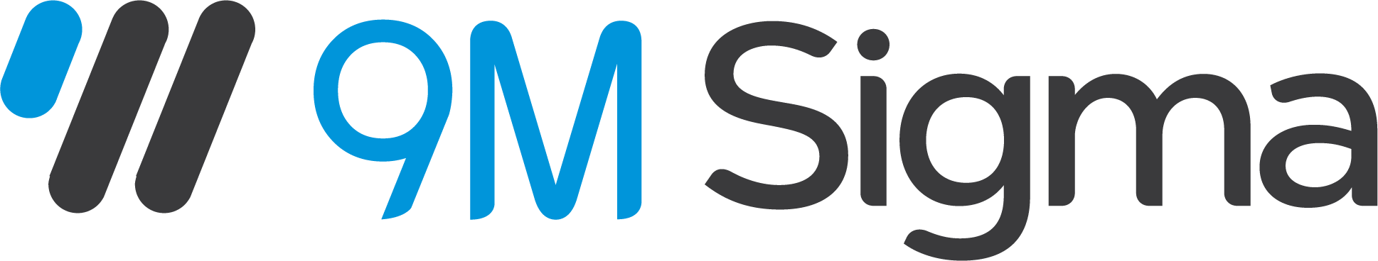 9M Sigma | Strategy • Identity • Execution