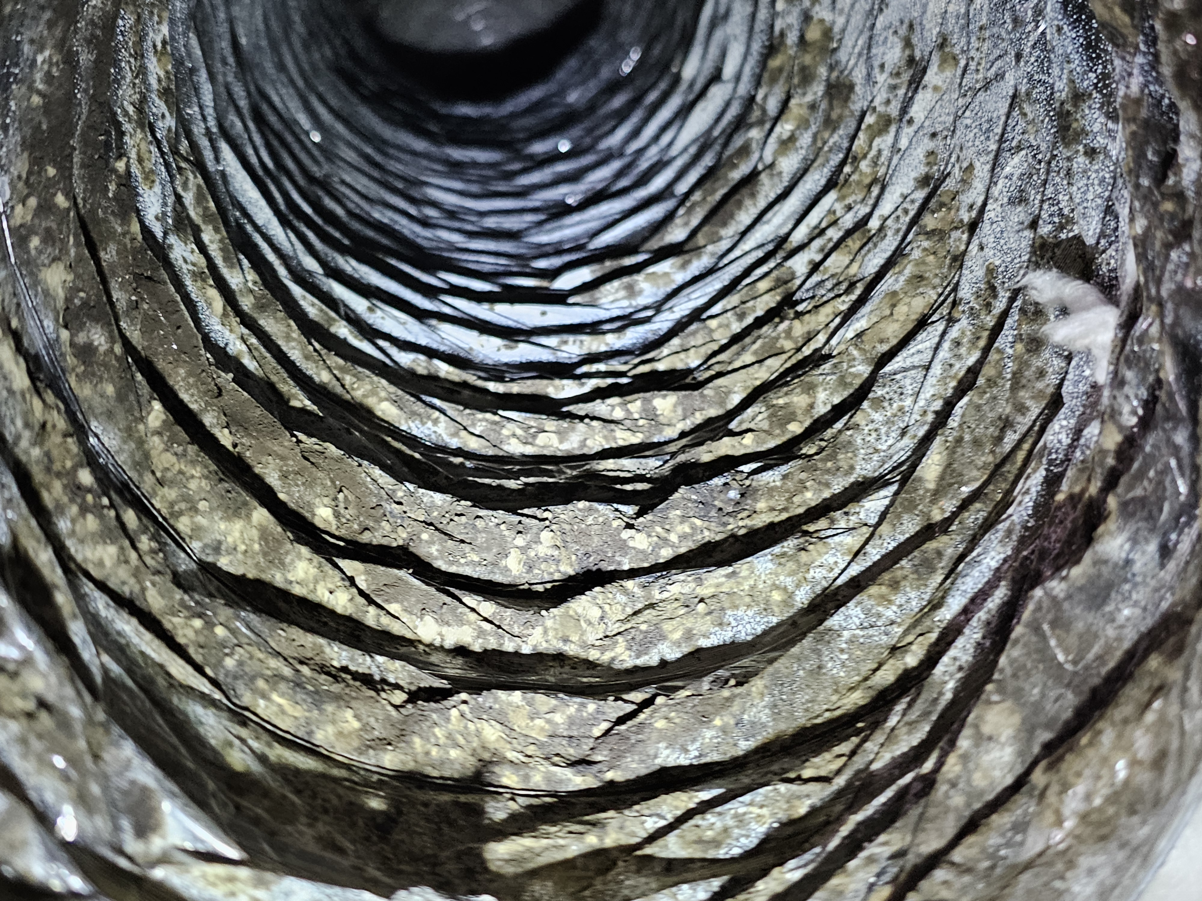 Interior view of heavily contaminated HVAC ductwork