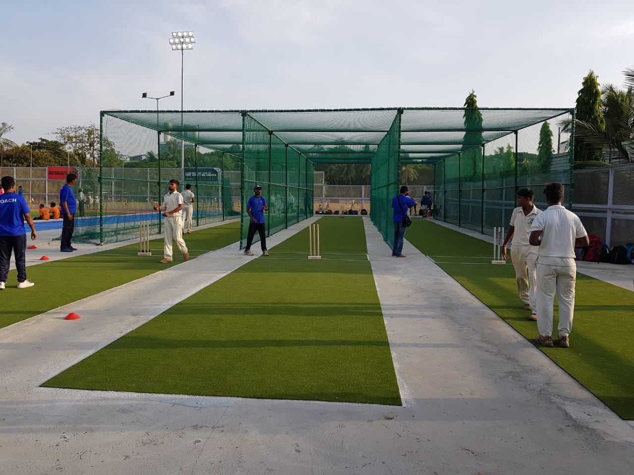 Maverick Corporation | Artificial Grass & PP Tiles Manufacturer in ...